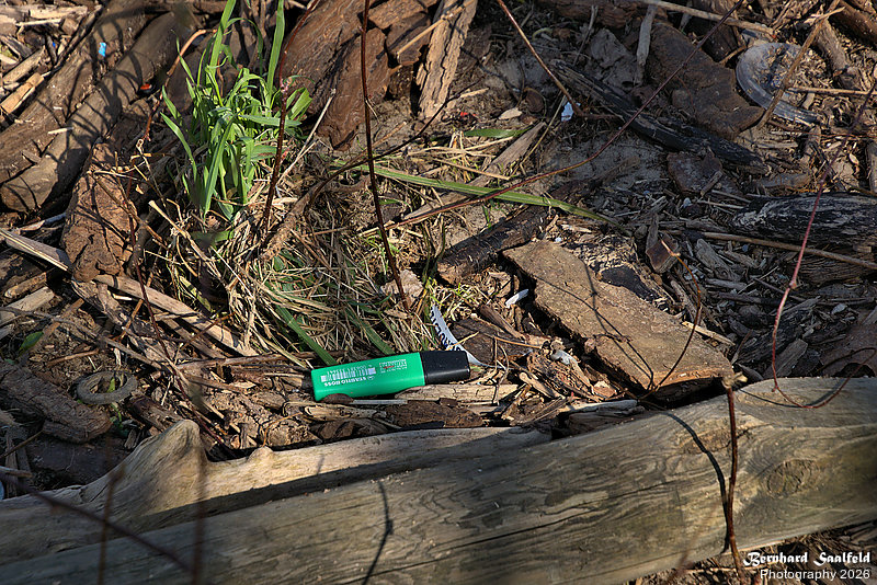 Bernhard Saalfeld - DSC01532 -1